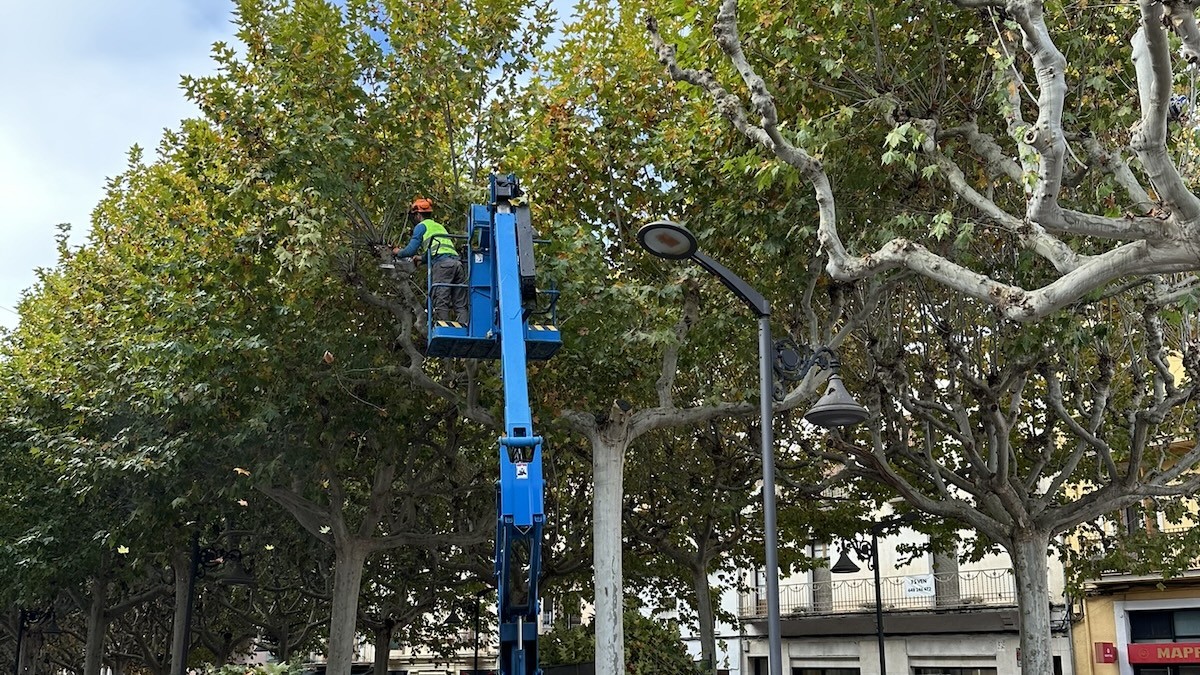 La intervenció al passeig s'allargarà durant les pròximes setmanes