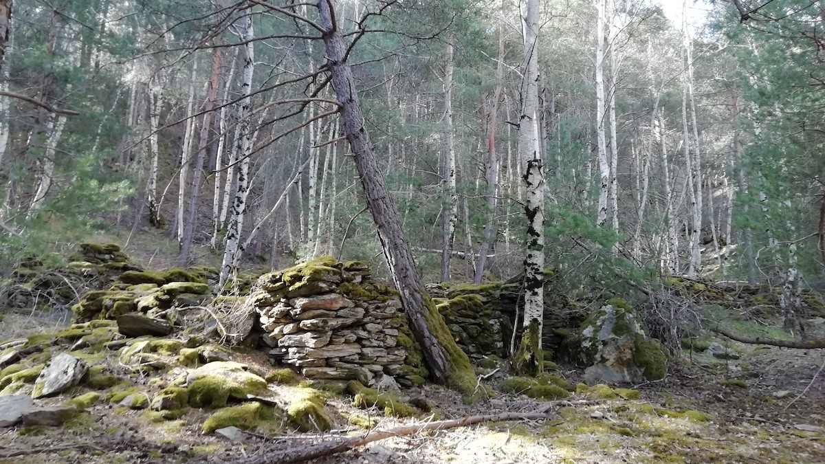 La finca forestal d'Arnui consta de més de 300 hectàrees i va ser expropiada l'any 1928