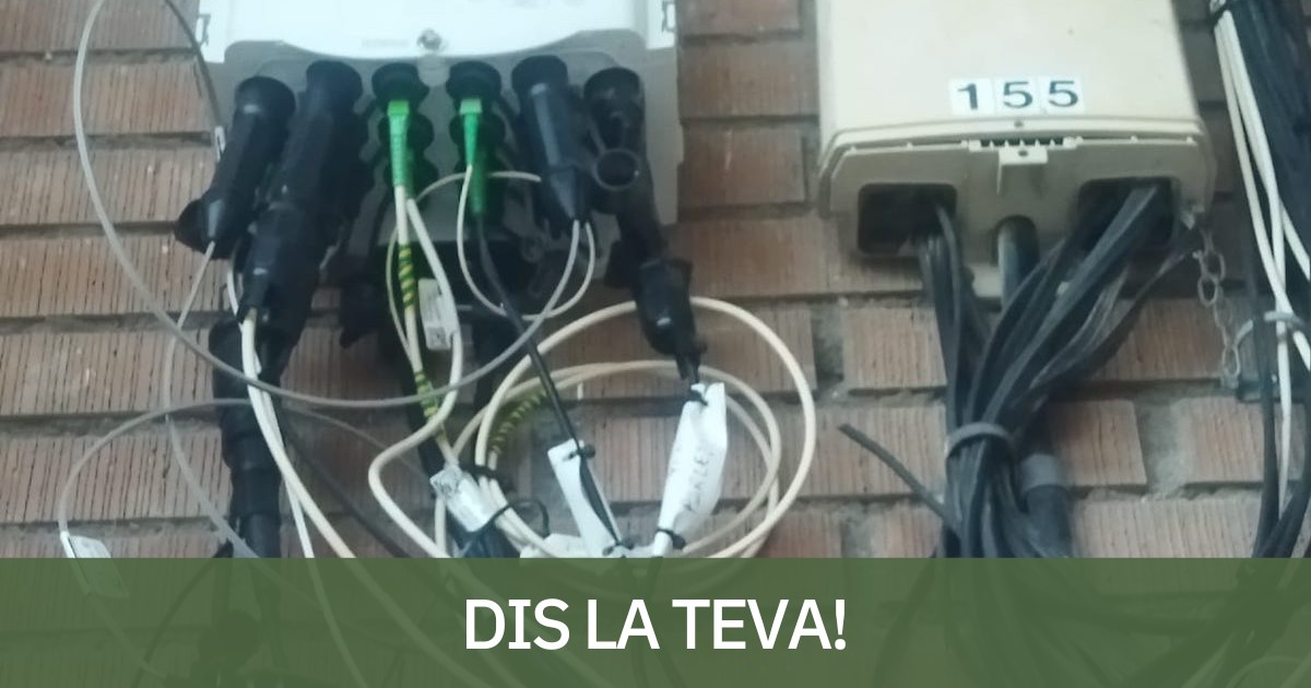 Imatge de l'estat d'algunes caixes d'Adamo a la Pobla de Segur