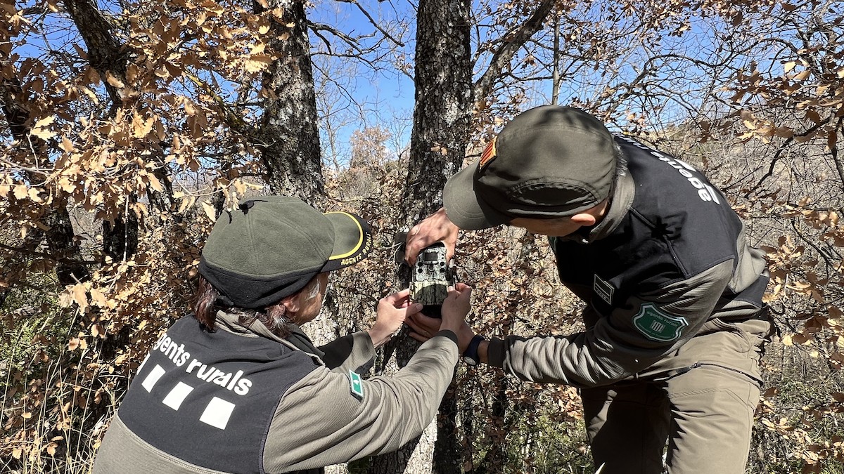 Agents Rurals instal·lant una càmera de trampeig fotogràfic a Castell de Mur