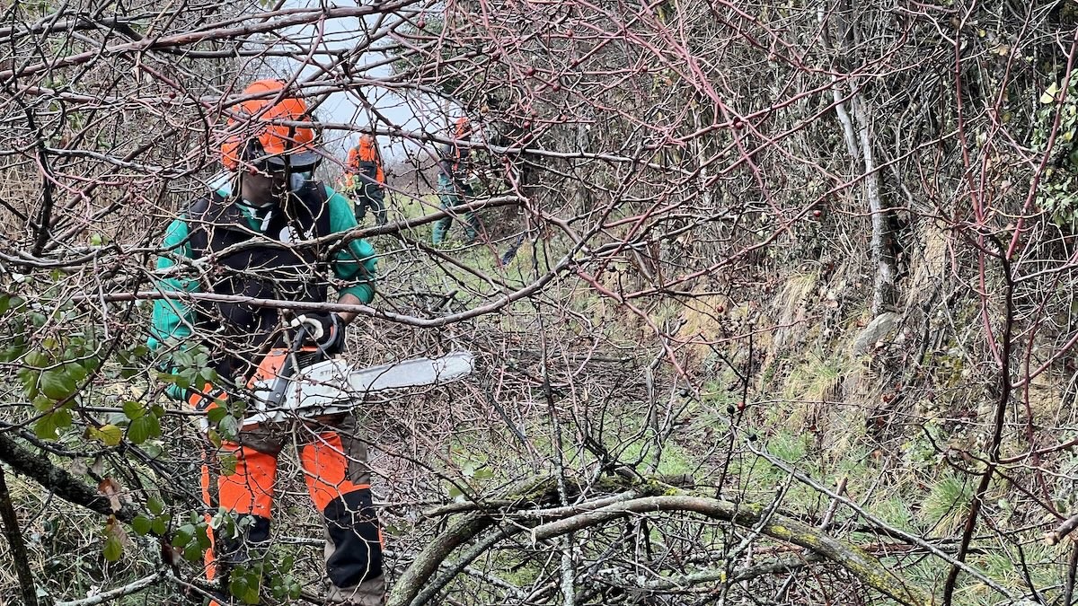 Un alumne de l'Escola Agrària del Pirineu fent tasques de neteja en un bosc