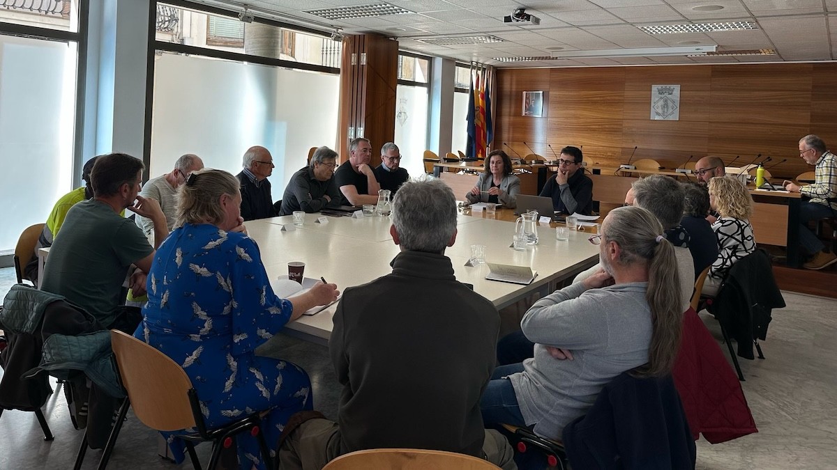 El Consell reunit aquest dilluns a la sala de plens de l'ajuntament