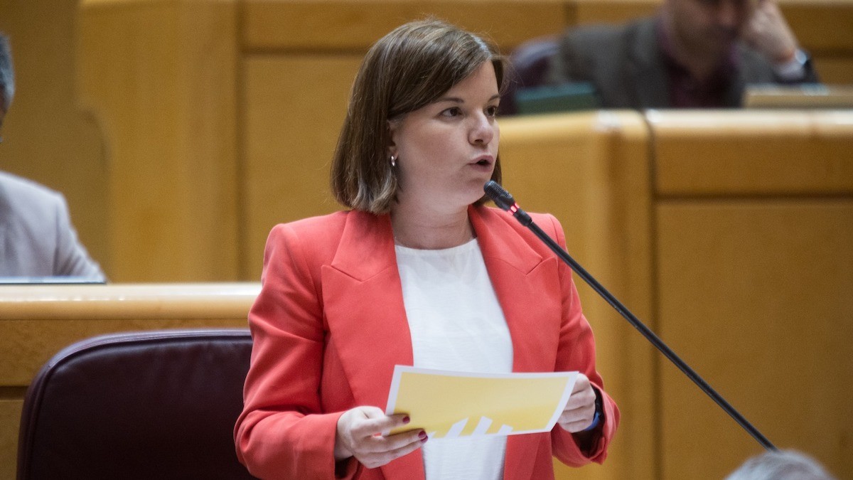 Sara Bailac, durant la seva intervenció al Senat