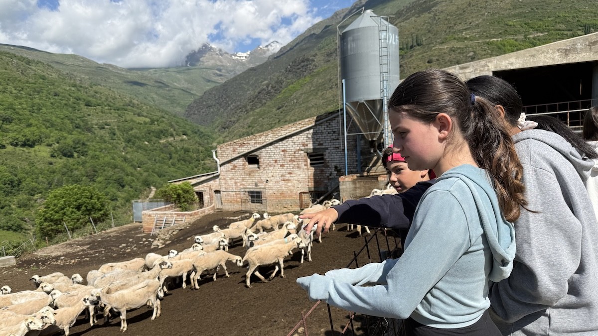 Alumnes visitant una explotació d'ovelles a Escàs, al municipi de Rialp