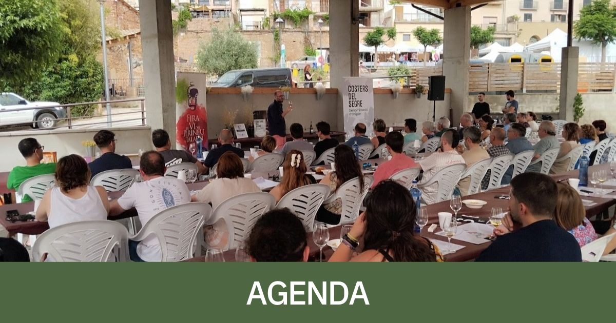 Talarn acull la 13a Fira del Vi del Pirineu