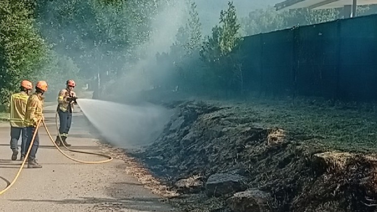 Efectius dels Bombers extingint el foc