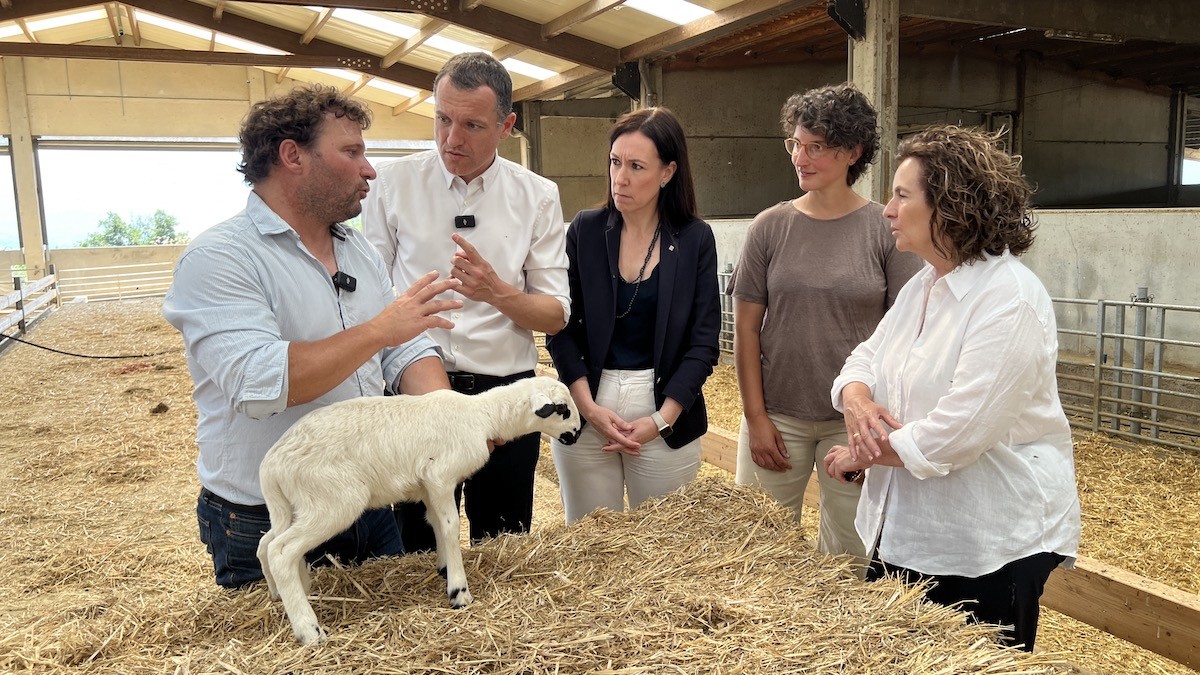 Imatge de la visita a la granja de Conca de Dalt