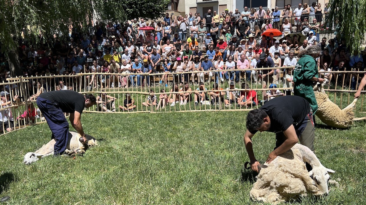 La Xollada tindrà lloc al Parc del Riuet de Sort M. Lluvich / ACN