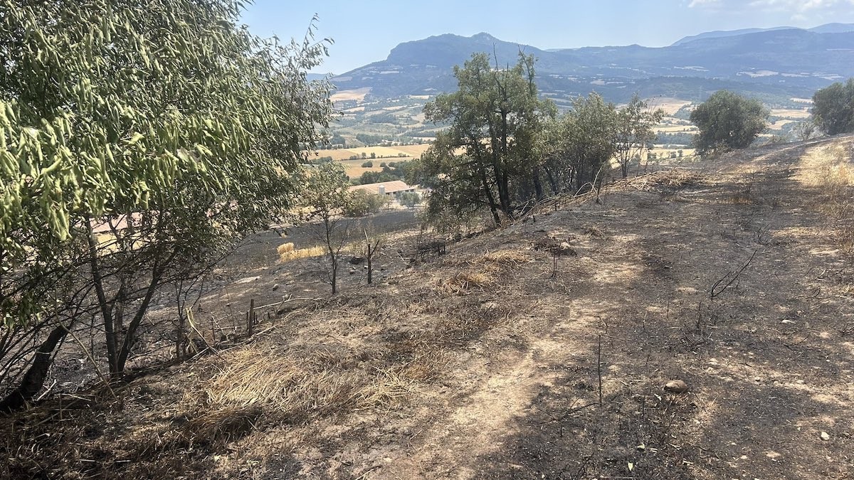 Les flames van arribar a escassos metres d'una granja