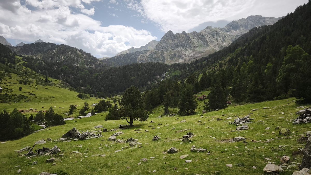 Imatge del Pla de Boet, a la capçalera de la Vall Ferrera, dins els límits del parc