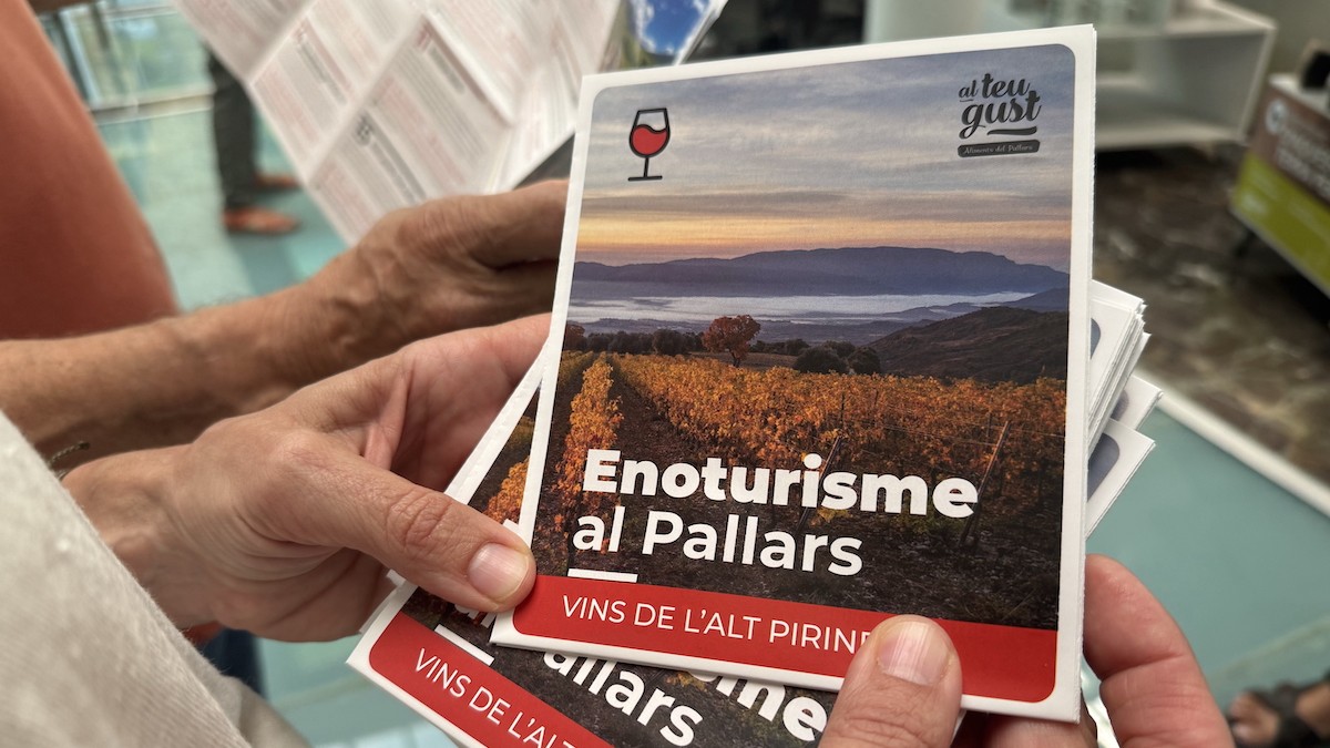 Imatge del fulletó desplegable que s'ha presentat aquest dilluns