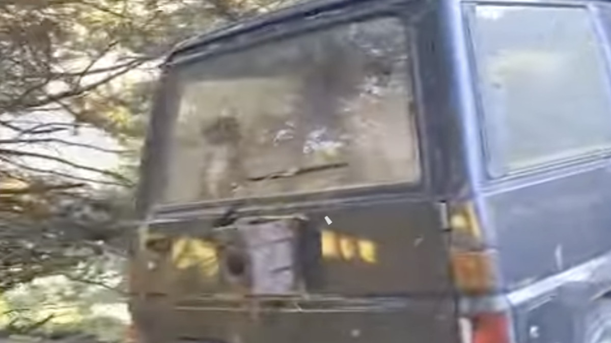 Imatge del vehicle on s'han trobat els gossos abansonats.