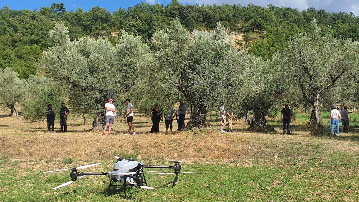 Demostració a una plantació d'oliveres de la Vall de Barcedana