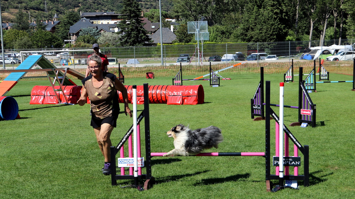Imatge d'una edició anterior de la Rialp Summer Agility Cup
