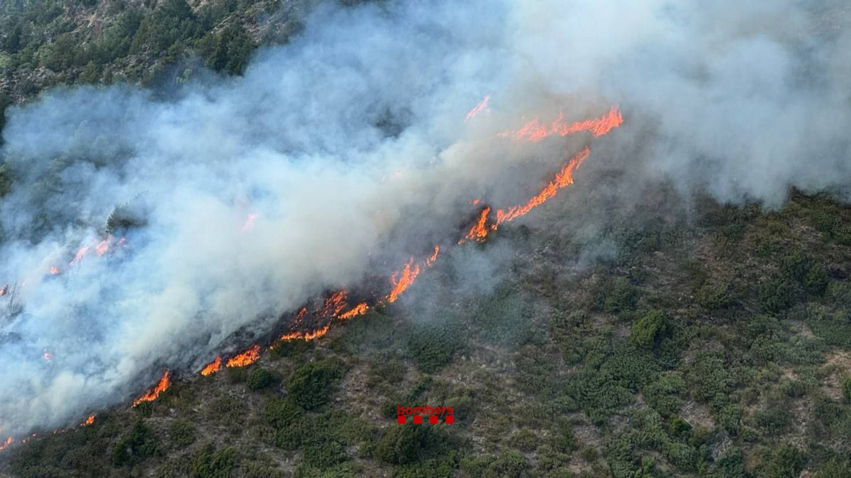 Vista aèria de l'incendi forestal d'Alins