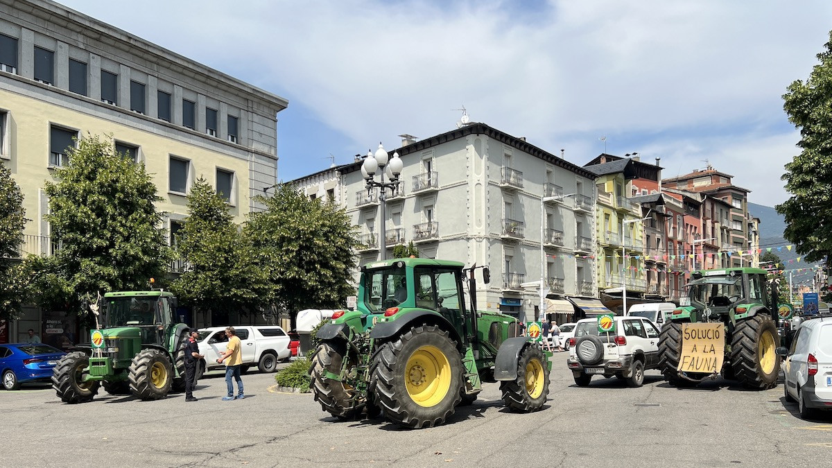 Imatge de la protesta dels ramaders a la Seu d'Urgell