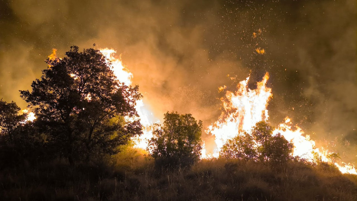 El foc de Puigmaçana ha cremat amb virulència per moments