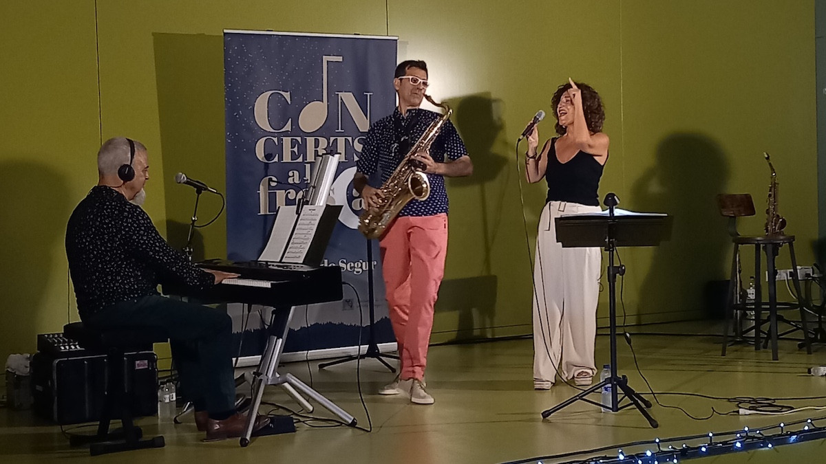 Actuació d'un dels concerts de l'agost