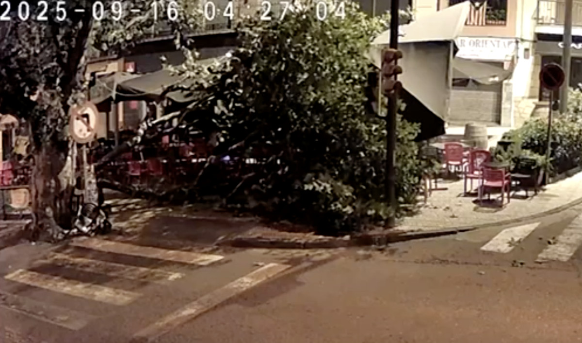 Captura del vídeo on es veu la branca caiguda a la plaça de l'Arbre de la Pobla