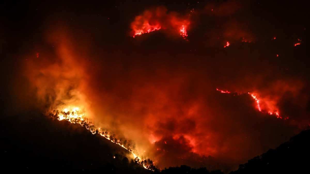 Imatge d'un incendi forestal declarat aquest estiu a Catalunya