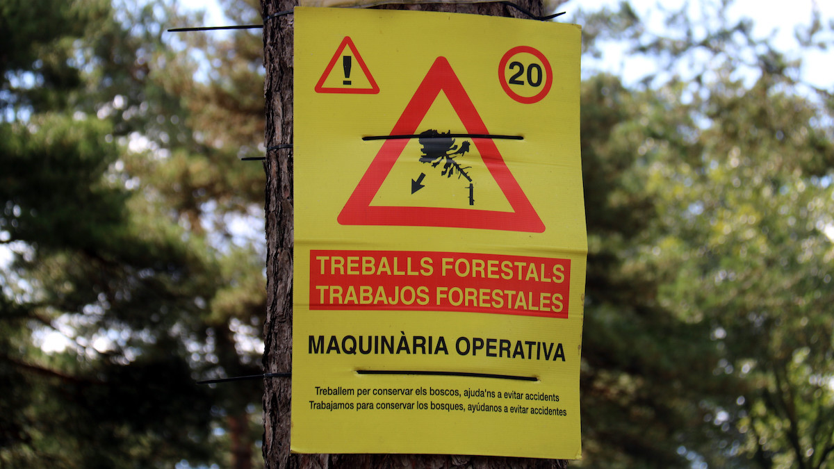 Un cartell anuncia treballs forestals en una finca