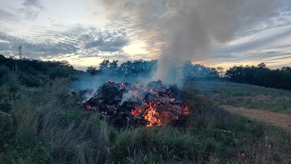 Imatge dels troncs cremant