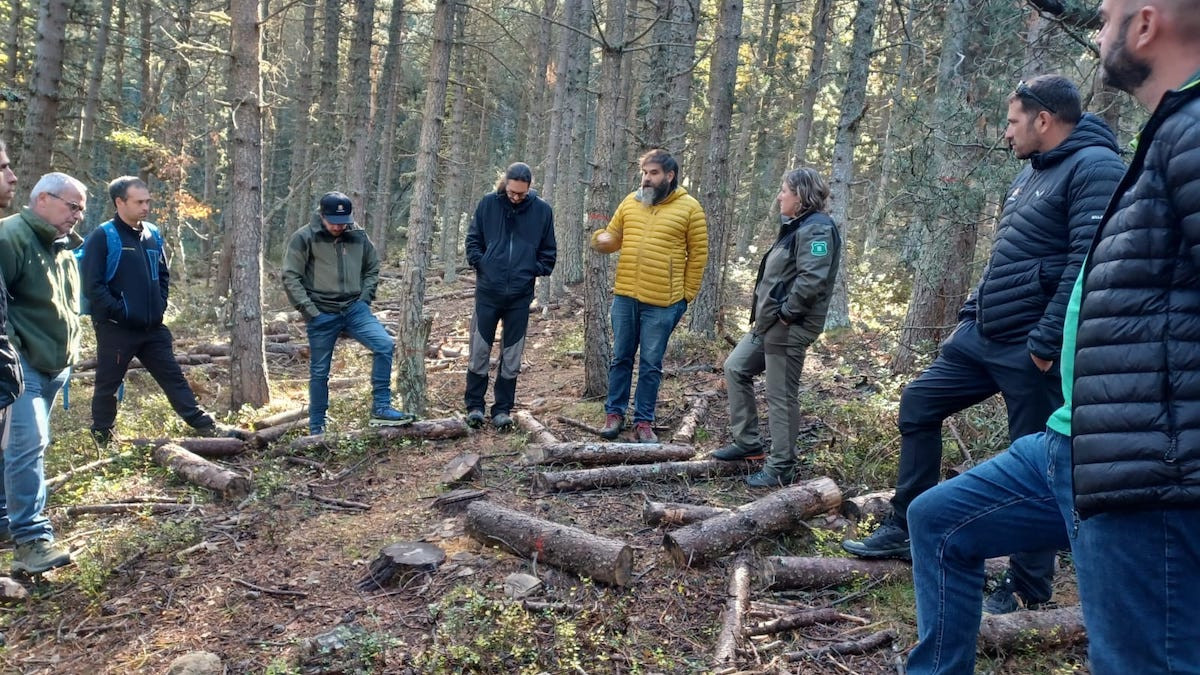 Experts internacionals visitant els boscos d'Esterri de Cardós