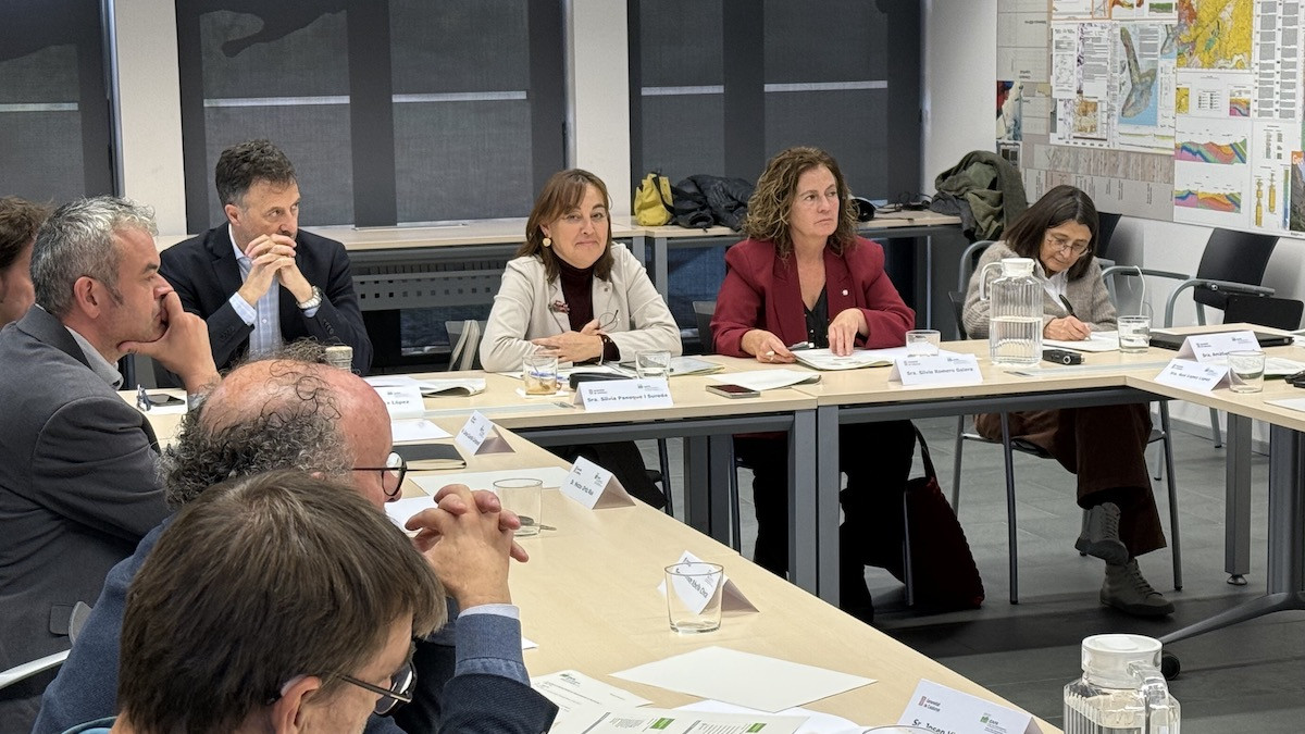 Sílvia Paneque dirigint el Consell Rector de l’IDAPA