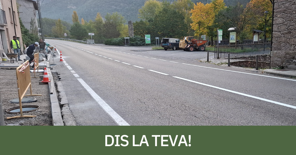 Tram on es demana la instal·lació d'un pas de vianants