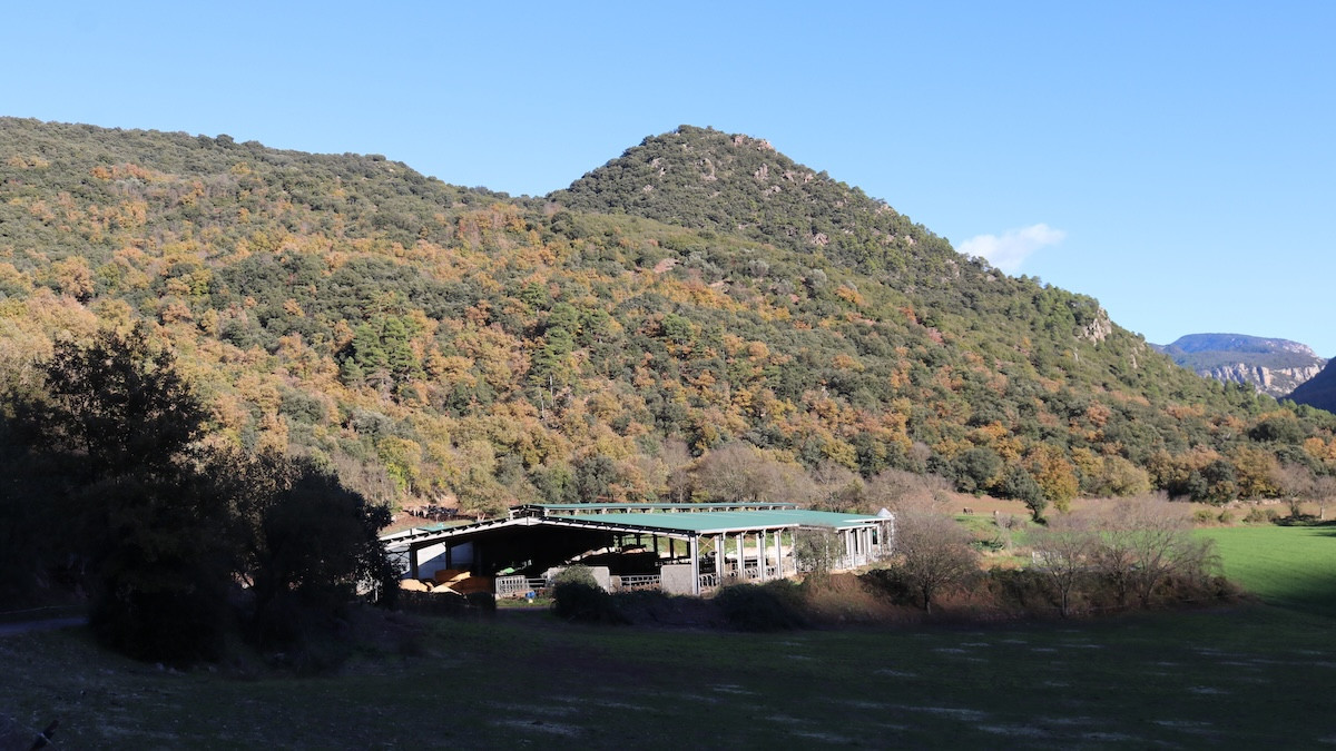 SAT Brams, l'última granja lletera del Pallars