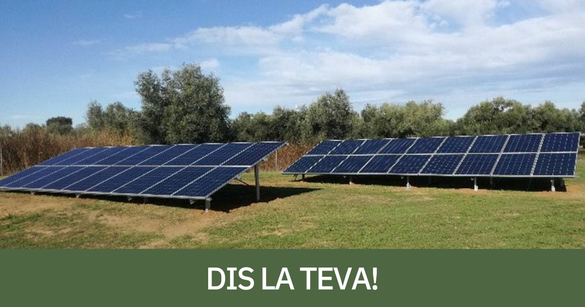 Plaques solars en un camp de cultiu