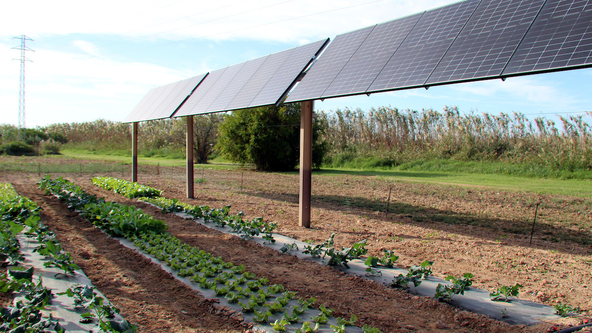Plaques solars damunt un hort en un poble català