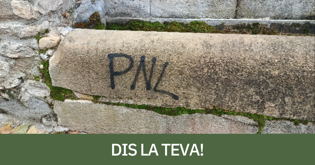 Una de les pintades aparegudes a Salàs de Pallars