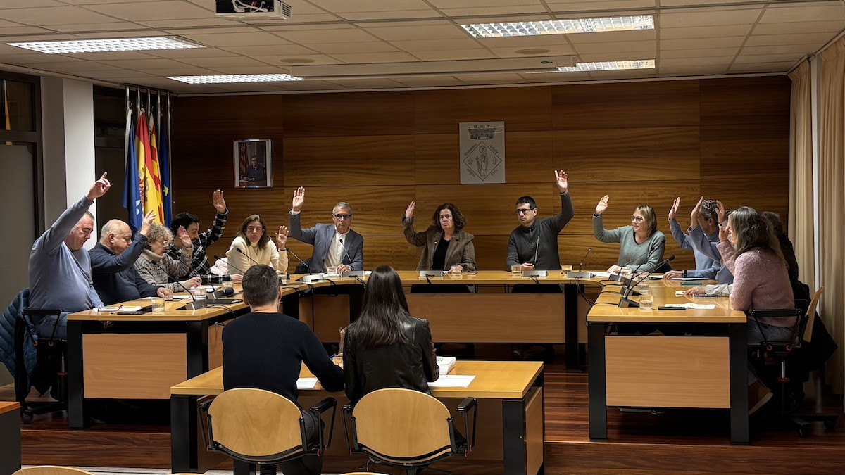 Els regidors del ple votant junts aquest dimarts