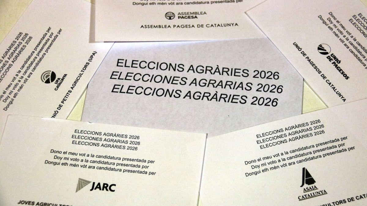 Paperetes i sobre de les eleccions agràries de Catalunya 2026
