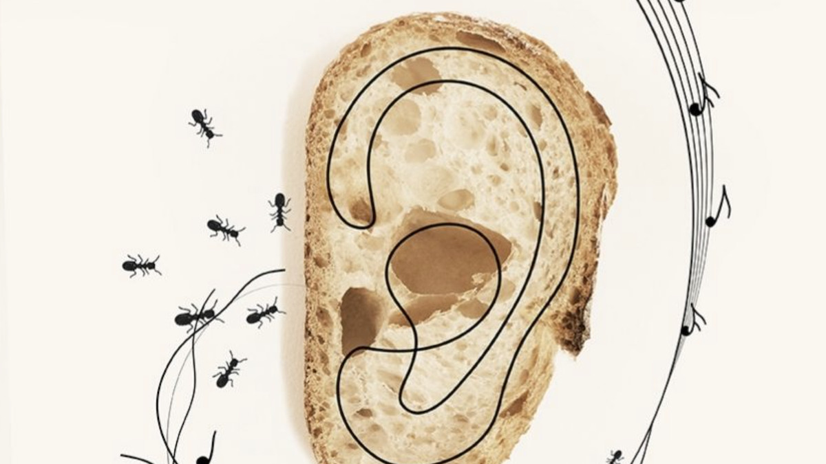 Fragment del disseny guanyador del concurs de cartells del FeMAP