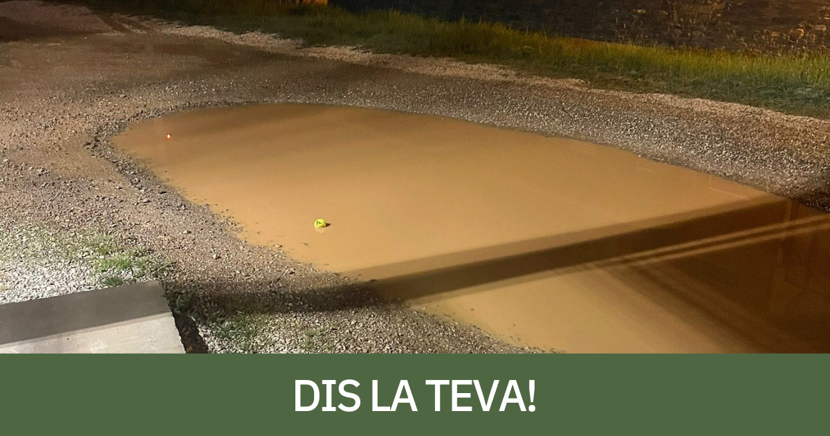 Una pilota al mig d'un toll a l'exterior de les pistes de Tremp