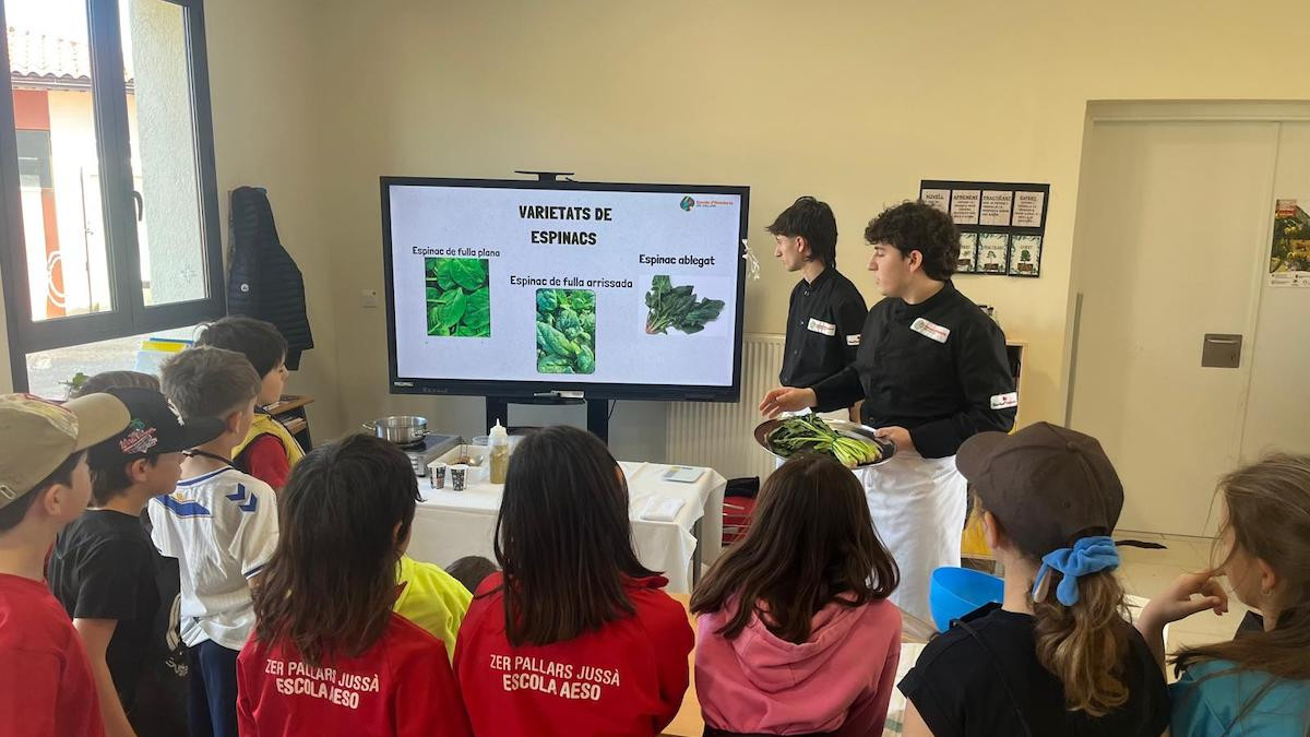 Imatge de la sessió a l'Escola de Salàs de Pallars