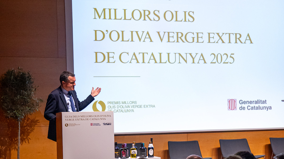 El conseller Ordeig, durant la presentació de la nova guia