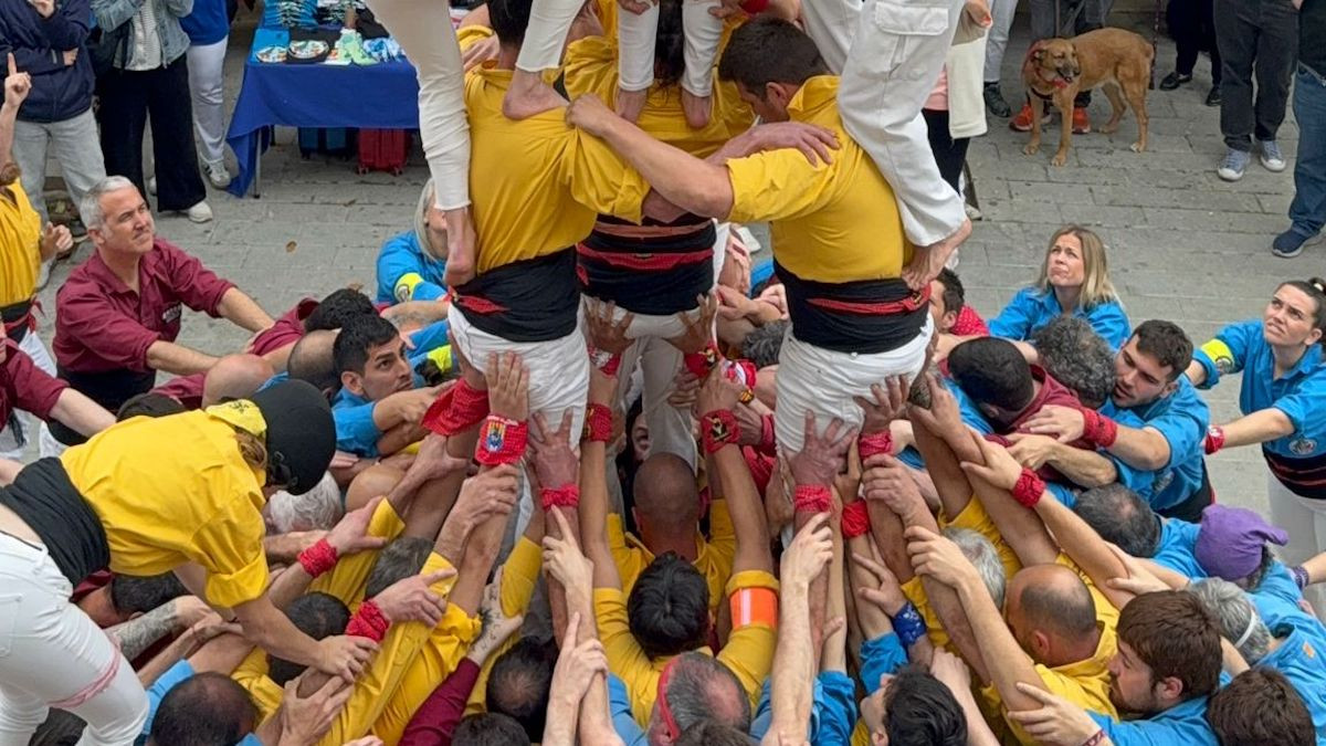 Imatge de la pinya del 3 de 6 amb agulla dels Malfargats de Pallars