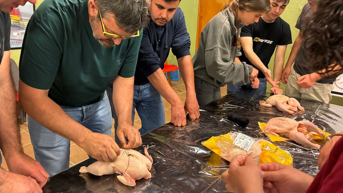 Una pràctica de sutures realtzada durant el curs