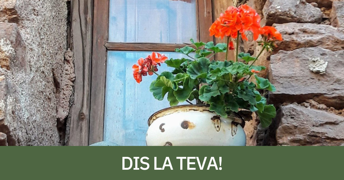 Flors en un balcó del Pallars Sobirà