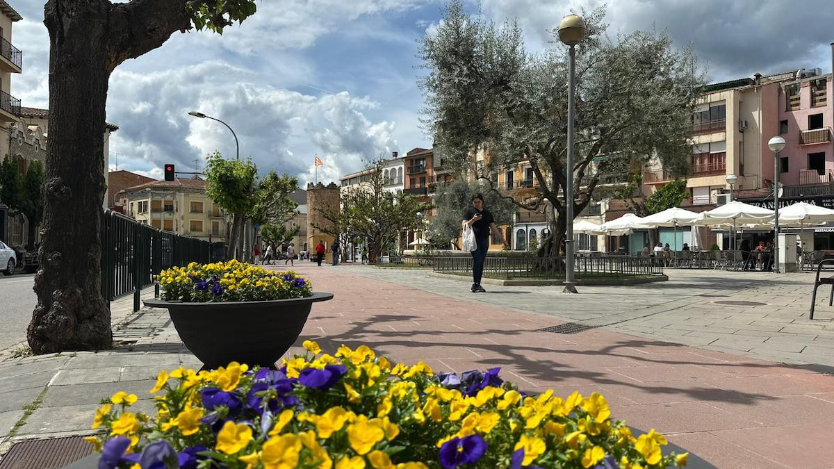 Flors al passeig del Vall de Tremp