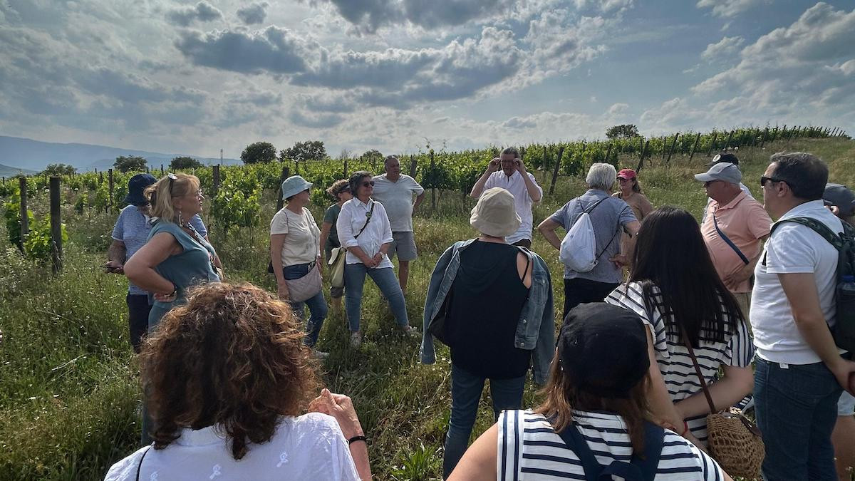 Una activitat de la Setmana dels Geoparcs Europeus, en imatge d'arxiu