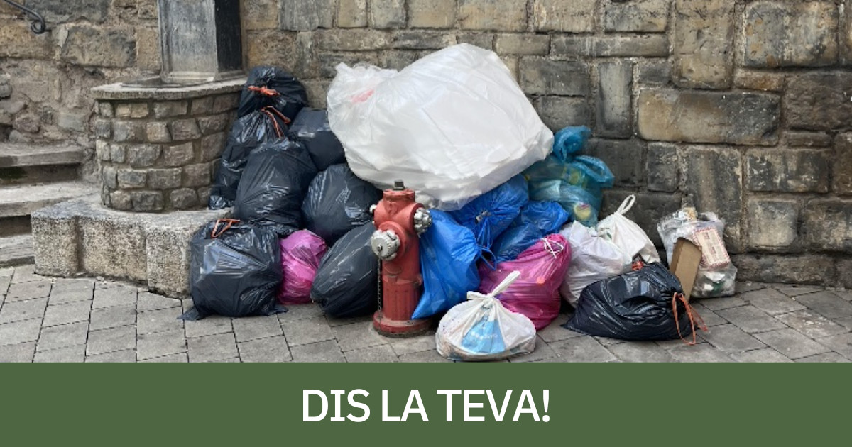 Bosses d'escombraries al carrer a la Pobla de Segur