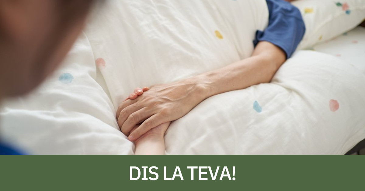 Imatge d'arxiu del servei d'acompanyament PADES