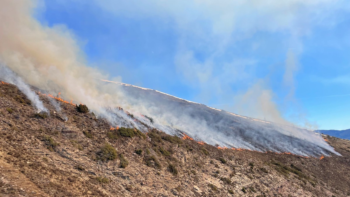 Les cremes prescrites milloren les pastures i redueixen el risc d’incendi