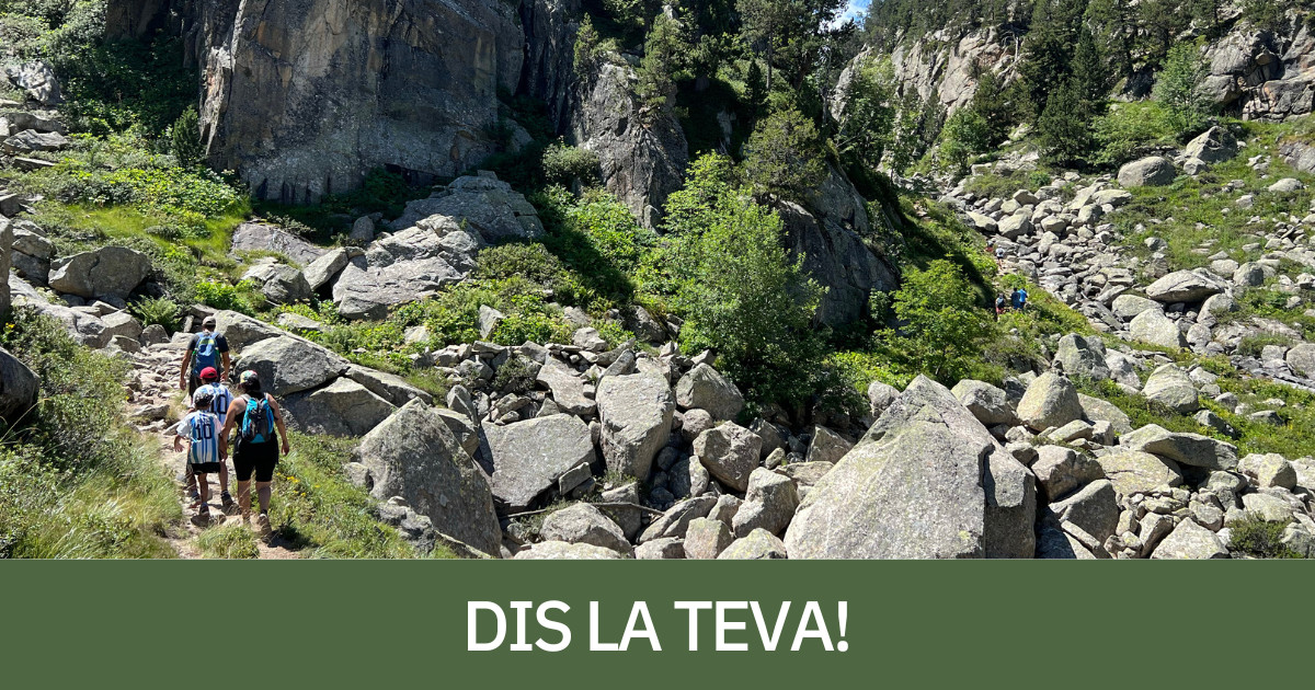 Excursionistes en una zona de muntanya del Pirineu