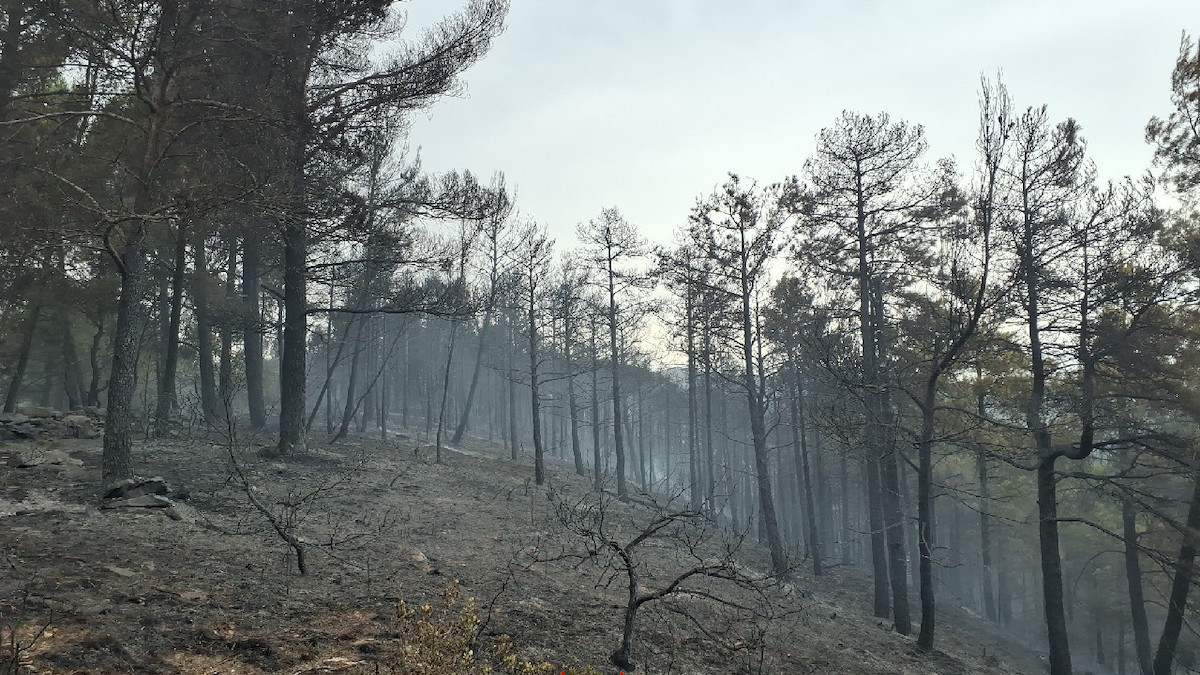 Imatge del foc que ha cremat a la zona de la Tossa, entre Salàs i Talarn