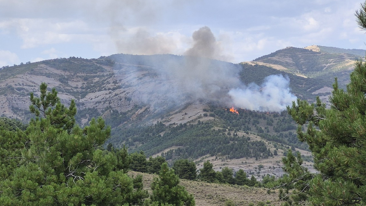 Imatge de l'incendi forestal declarat aquest dimarts a la tarda